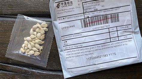 what are those seeds coming from china